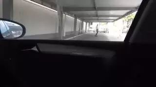 جد حديقة ألمانية