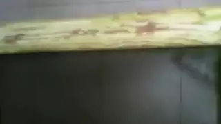 فيديو رطعةصدر حومل ينزل حليب مباشر