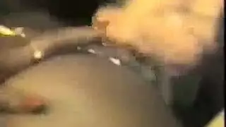 بوصة الديك ريترو النرويجية