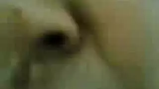 كس فتاة عربية ممحونة يتمدد بزب ضخم، تئن بصوت عالٍ