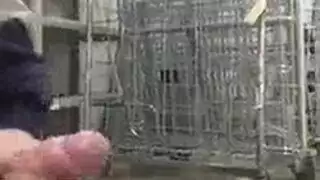 الحوى من طبون البولش
