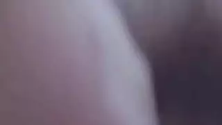 ايمو متجر نجاح كبير