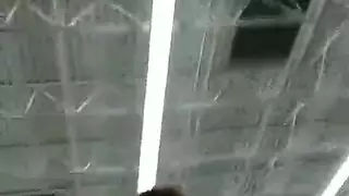 سكرتيرات بيضاء وجه الجلوس على الطبيعة
