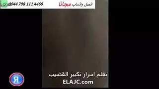 شقراء صاحب الوردي الهرة