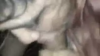 الغش السمين