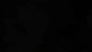الهبي طوق مثقوب الهرة