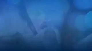 نظام ثابت من القضيب يبقيهم قريبين