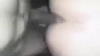 طيولجنة