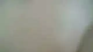 صوركس مصرتيات
