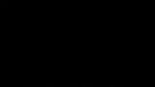 القاع الأحمر رائع خشب الأبنوس الجنس الشرجي