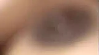 يختبر الهرة الكبيرة ذيل حصان