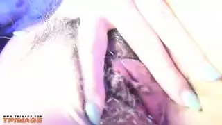 مھبل جمیلة
