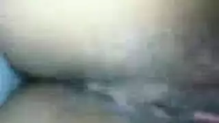 جدة الثدي ضخمة النرويجية