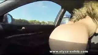 عضوة الفحل العربي الكبيرة في جنس قوي