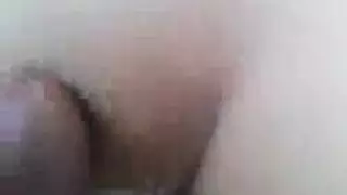 مشاهد متحركة للأعضاء التناسلية