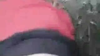 طبيب غابة الناضجة الفرنسي