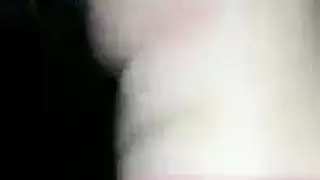 ديك في حمار