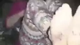 فساد سادي ضرب البر