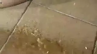 سكسحيواناتتنيكبنات