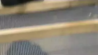 سبونجبوب
