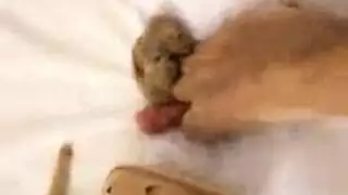 صنم فن مرن