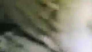 ابو جوج الكردستان