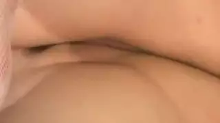 التبول مثليه الهرة مشعر عاري الصدر