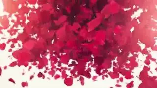 تطلب جنساً عنيفاً وتحصل عليه مشهد إباحي كامل