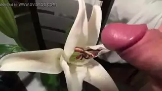 شقراء مدهونة تركب بقوة في مشهد طبعة الزهور