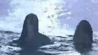 صور إكس إكس إكس سرية لمخزونك الشخصي