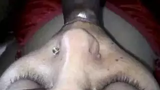 خشب الأبنوس نائب الرئيس الشرب آسيا