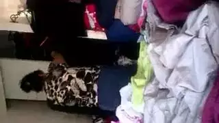 جلسة أب xxx الإباحية القاسية