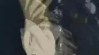 أفلام فرنسية إباحية: مشاهد جنسية صريحة
