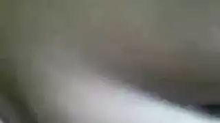 لحسسالكس