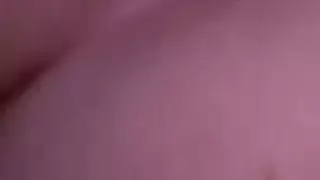 الحمار الكبير افضل صديق طحن