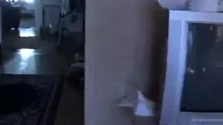 مقيدة وتؤخذ بقوة من الخلف