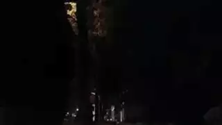 خنثى الهيمنة الجنس العامة