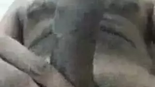 نجمة كبيرة الصدر تدخل فيها قضيب صلب بعمق في مهبلها الرطب