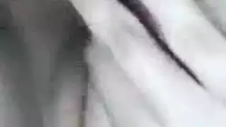 بني سويف