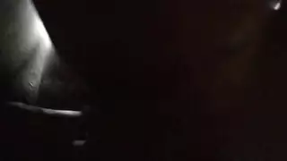 خشب الأبنوس مجعد مشعر