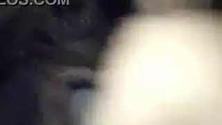 نيكت بنت نجيب مدنتة عغديس