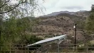 سيكس مع الزنوج