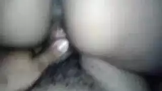 مجموعة اختراقات حيوانية لحسان
