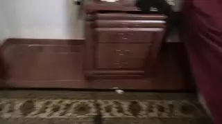 الأم العربية العرقية تأخذ زباً ضخماً صلباً من الفحل الكندي