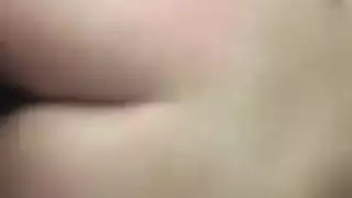 حركة تزاوج بأير حصان عربي كبير