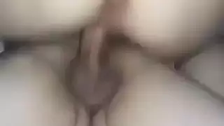 الديك التركي الكبير