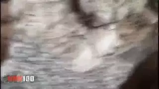 ملكة الصحراء تأخذ قضيبًا قويًا على شاطئ البحر