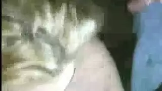 الخائنة تحصل على جنس مزدوج: فعل سحاقي قبل انضمام الرجل