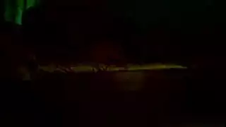 نيك كلاب مع نسوان تخينه
