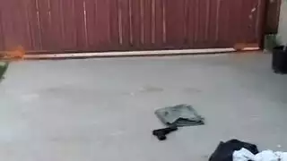 احب كس حماتي كبير الشفايف